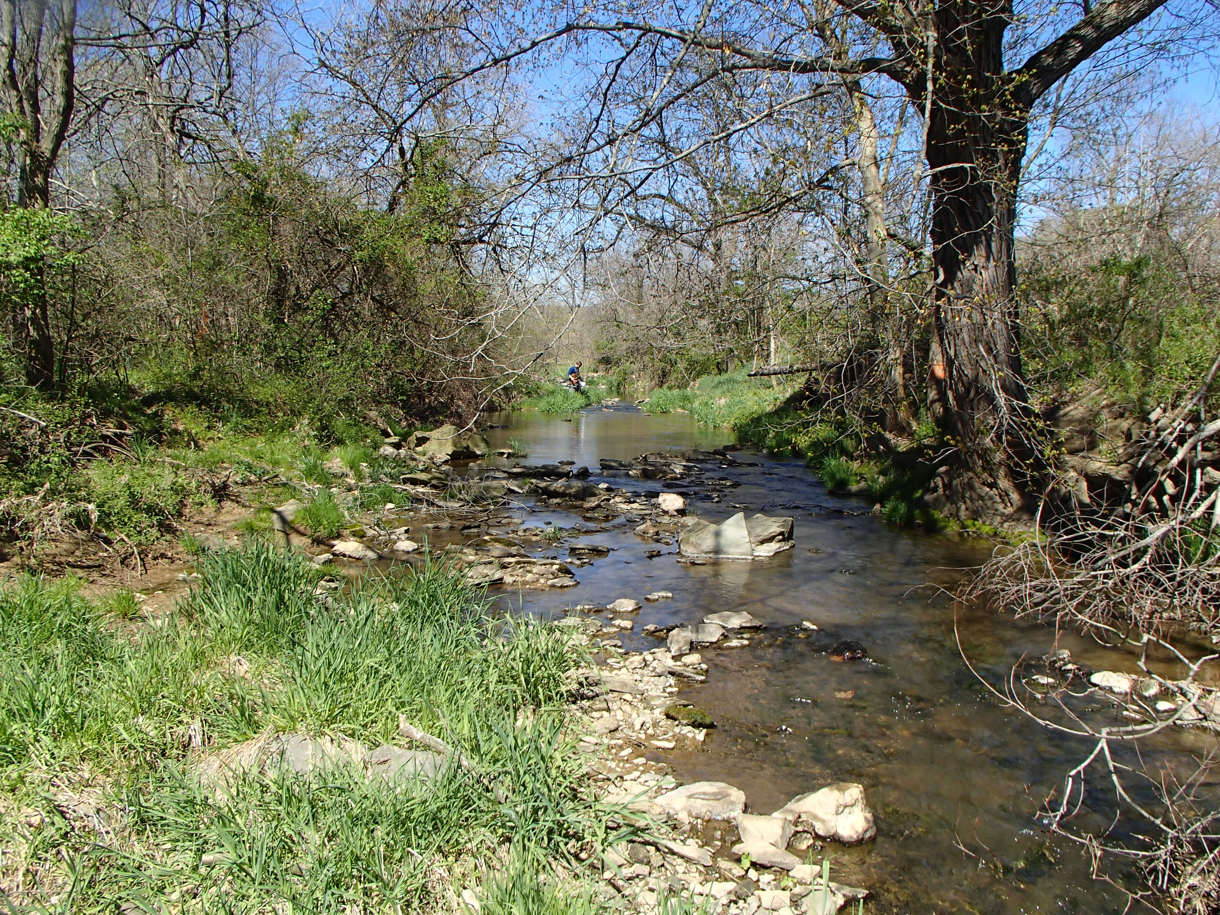 Field photo showing stream conditions at site PRFR-202-X-2016_midpoint looking upstream